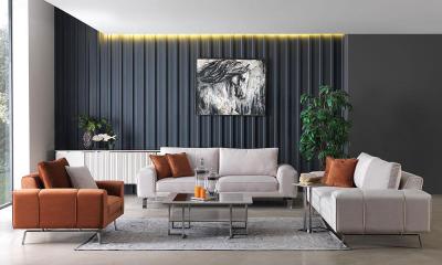 Silver Koltuk Takımı